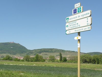 Véloroute du Vignoble