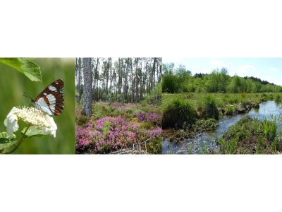 Espace Naturel Sensible du Rieucourt