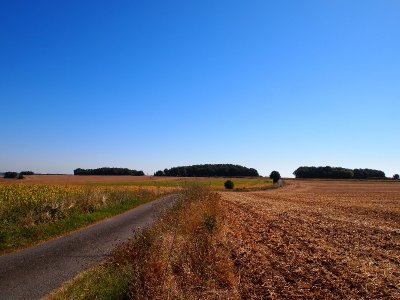 Mégalithes "La Justice"