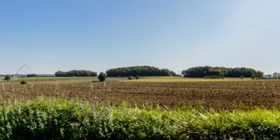 Mégalithes "Le Gros Dognon"