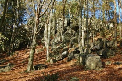 Les Pins sentier des fontaines