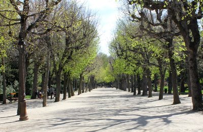 Le Jardin de Vinay : au coeur des coteaux