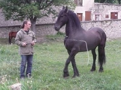 La mini ferme du Ventoux
