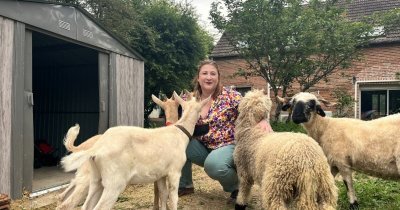 Micro ferme de Mishka