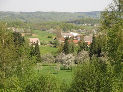 Point de vue sur les vergers à Blanzey