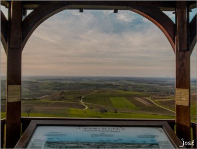 Belvédère du vignoble
