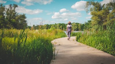 La gravière aux oiseaux