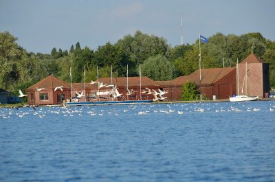 L'étang du vignoble
