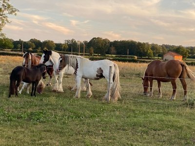 Ferme pédagogique des Petits Sabots