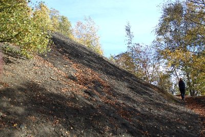 Terrils de la Bleuse Borne