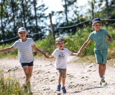 Balade en famille : Circuit poussette de Romanswiller