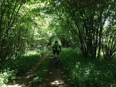 Circuit VTT - Bourlémont