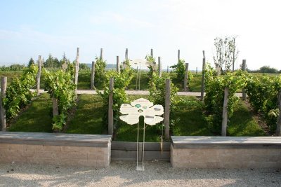 Jardin de Vignes de Chouilly