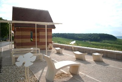 Jardin de Vignes de Cramant