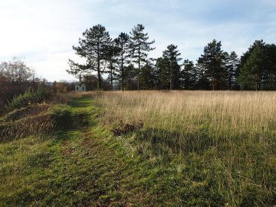 Circuit du pays de Jeanne d'Arc