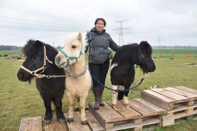 Centre équestre Les Bréjoires