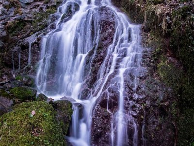 Balade : la cascade du Siehlbaechle