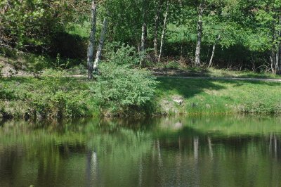 Les sources de la Besbre - PR n°5