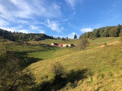 Randonnée : le Kohlschlag par le vallon du Kaltenbach