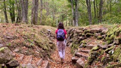 Randonnée : vers le Hartmannswillerkopf et Rehfelsen