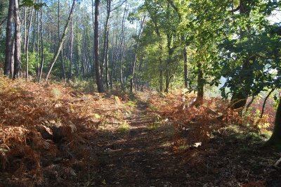 A Vielle-Saint-Girons, circuit des Tucs