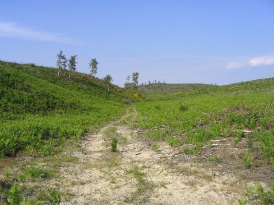 A Lit et Mixe, circuit du Cap de l'Homy
