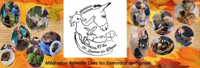 Ateliers Petit Soigneur /moment privilégié  pour les enfants  auprès des animaux