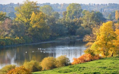 Entre Loire et étangs