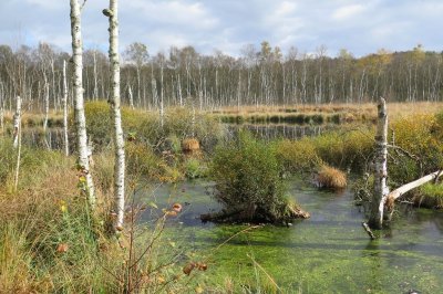 Le sentier de l'Eau et la Pierre