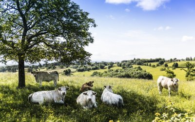 Panorama Christophien