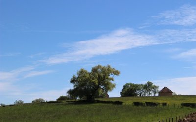 Circuit des vignobles
