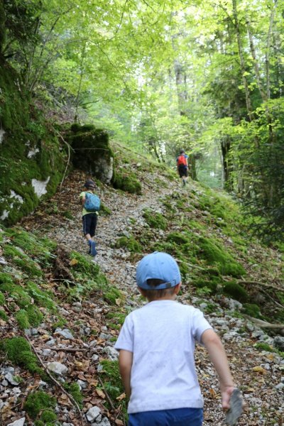 Tourbière des Creugnots
