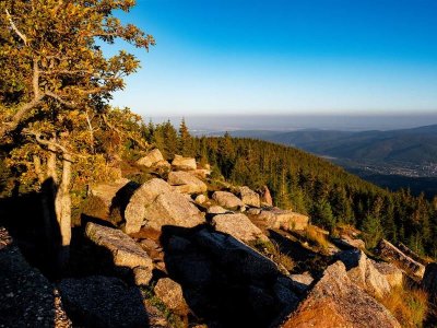 Circuit VTT B10 : Boucle sur les hauteurs de Lutzelhouse