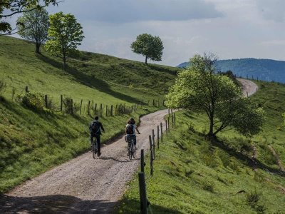 Circuit VTT C09 : La vallée du Netzenbach