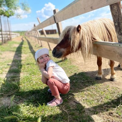 Ferme : Au bonheur des animaux