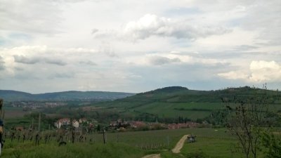 Randonnée vers le Wachholderberg