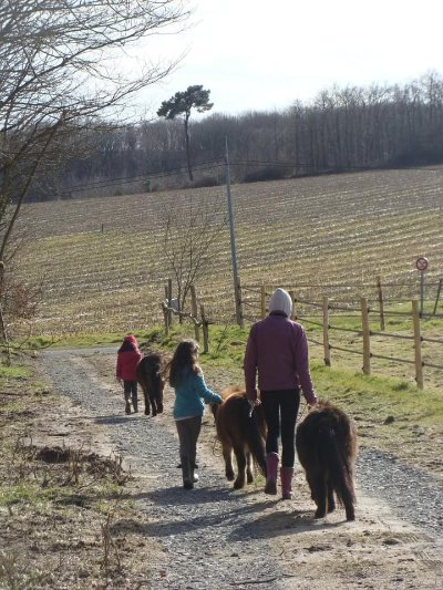 Petits chevaux et compagnie