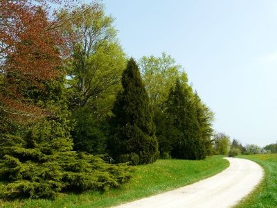 Bois de la Demi-Lune