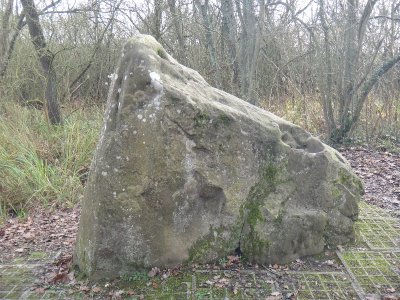 La pierre qui pousse