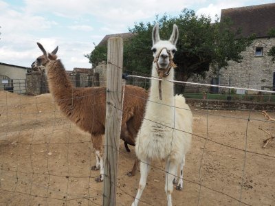 Equestria et ferme pédagogique