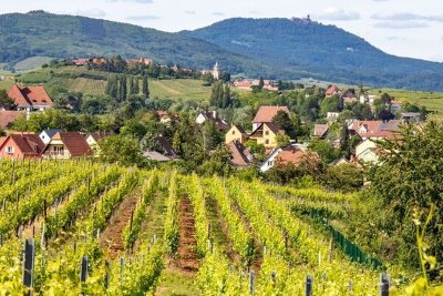 BR55 A l'assaut du Markstein entre vallée de Munster et vallée de Guebwiller
