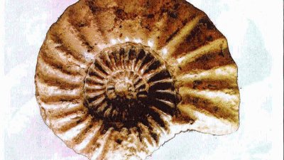 La Grange aux Fossiles