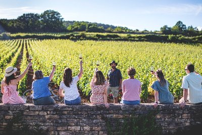 Vinotour Bourgogne