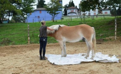 Domaine équestre de Chassignol