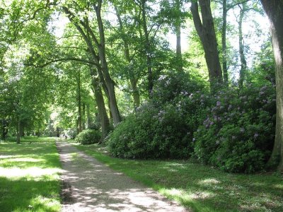 Promenade des Deux Ponts A29
