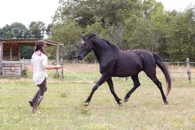 Haras Au Coeur des Possibles
