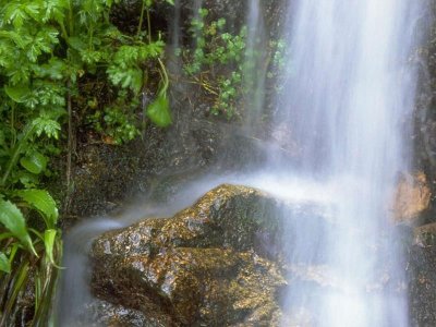 Circuit rando D05 : Cascade de la Crache