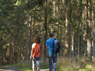 Circuit rando B24 : De Muhlbach au chateau de Guirbaden