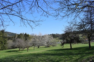 Circuit rando B19 : Au fil de l'eau