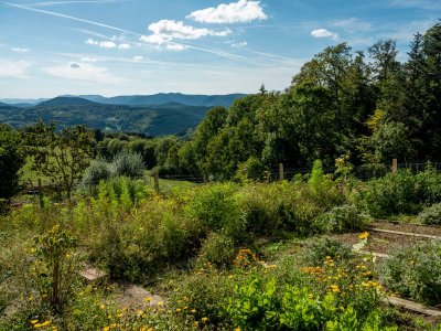 Balade ferme-auberge Promont : là où le tilleul est roi